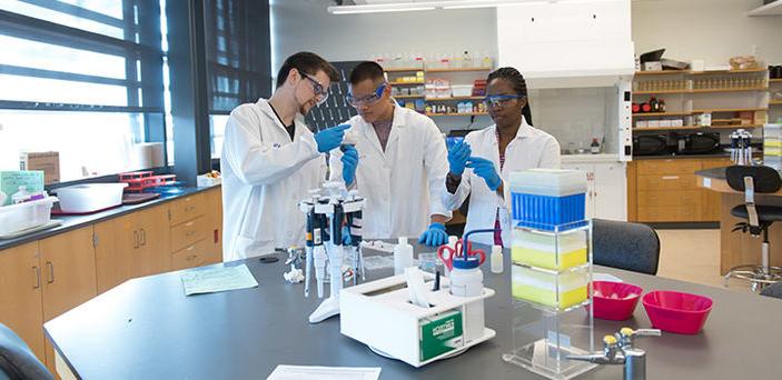 3名BSU学生在化学实验室工作